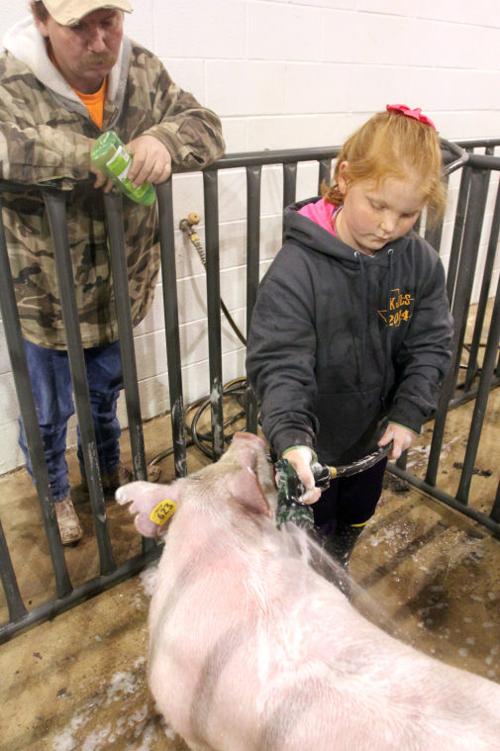 Killeen Junior Livestock Show