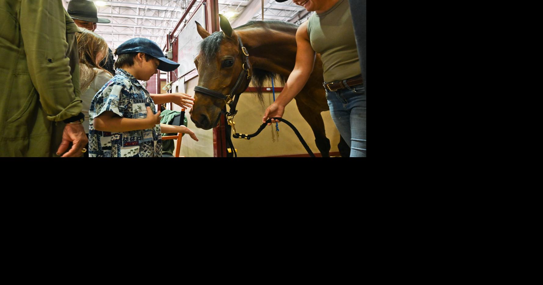 Weekend roundup: Area events include live music, horse show, farmers markets and more