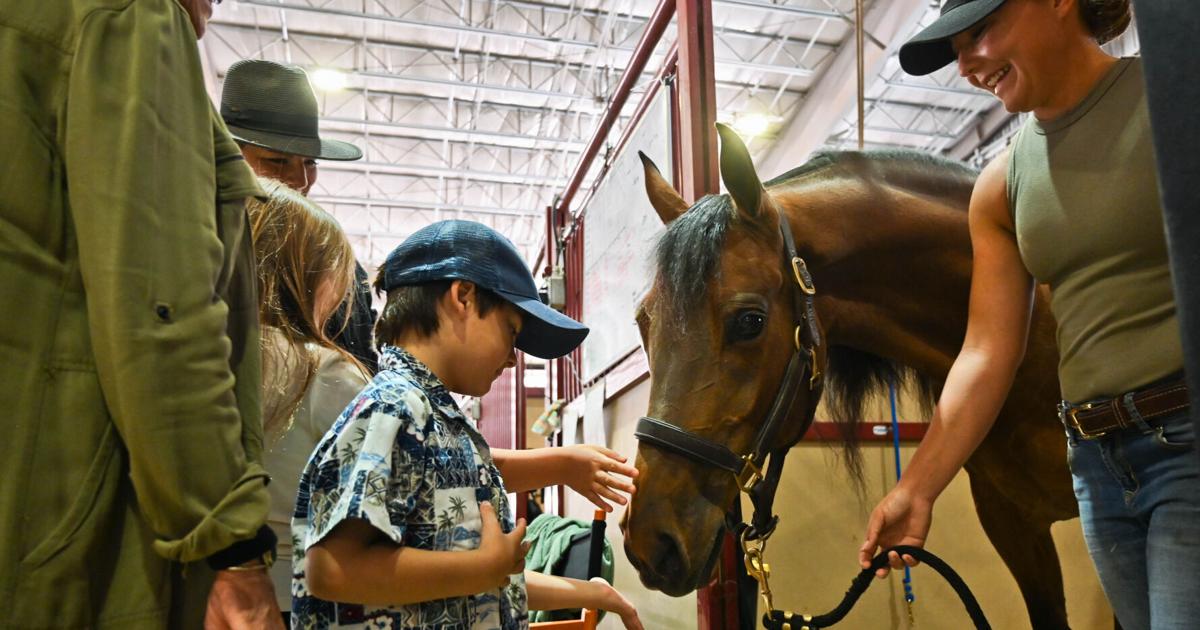 Weekend roundup: Area events include live music, horse show, farmers markets and more