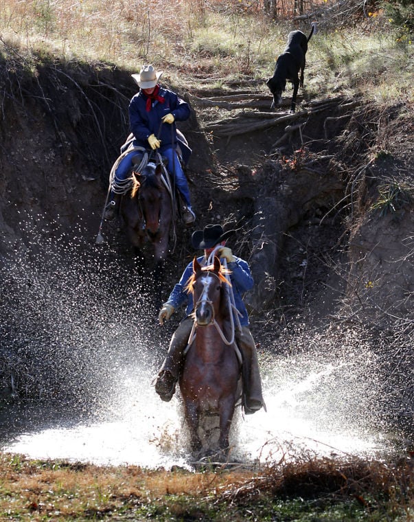 Cowboy's Life