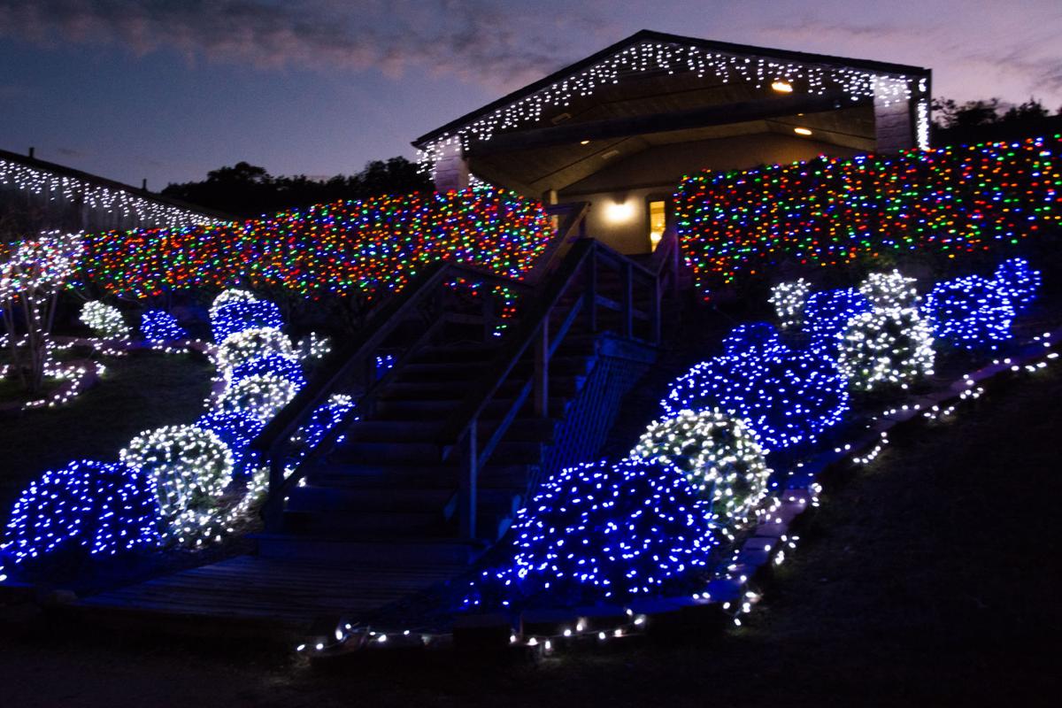 VIPs get first look at BLORA’s annual Nature in lights Living