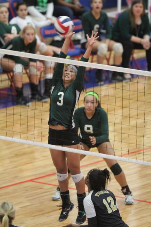 EllisonMansfieldVolleyball61.JPG