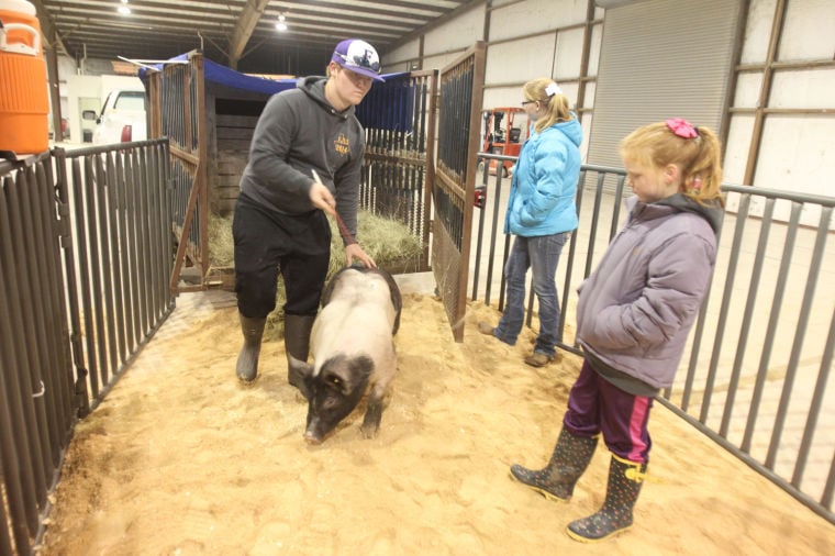 Killeen Junior Livestock Show News