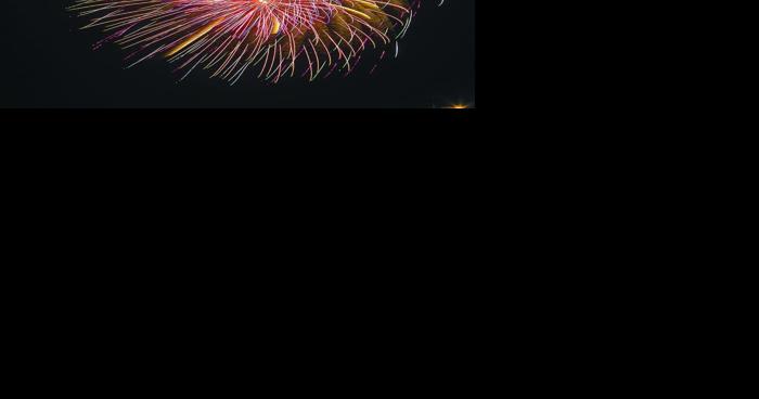 Fearing the Fourth: Fireworks can be traumatizing for PTSD sufferers, many animals - Vimarsana News
