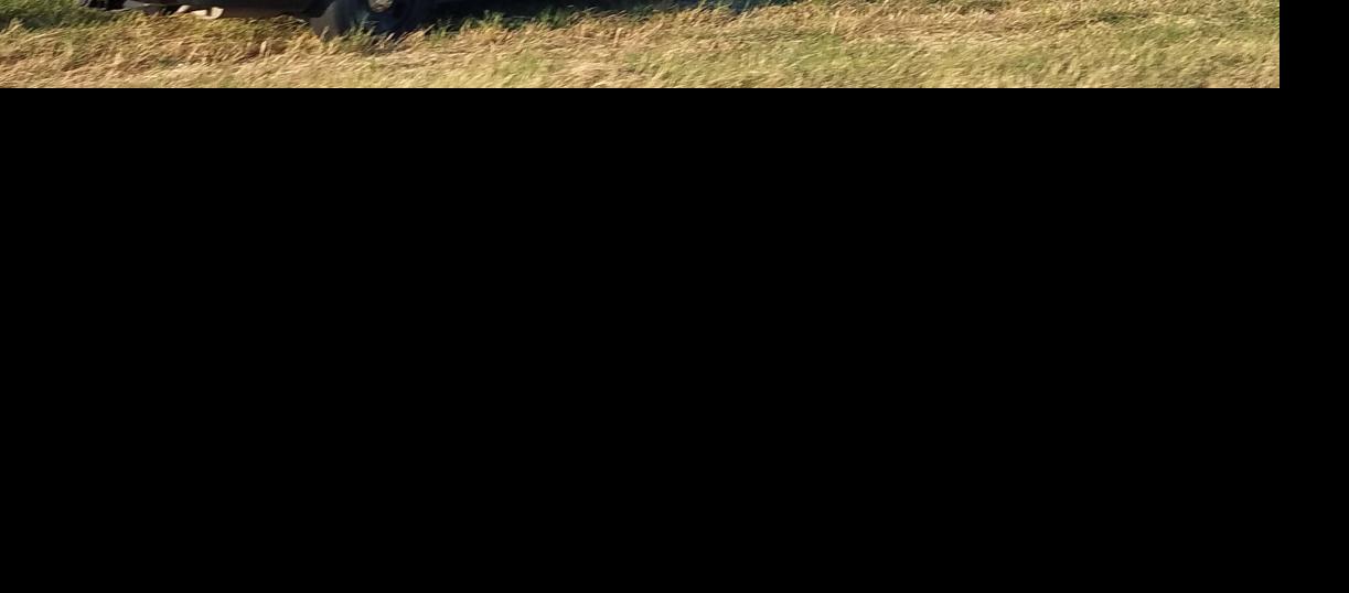 Driver stopped for speeding in Nolanville surprised by Social Security question Local News