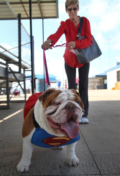 Barktoberfest 2013