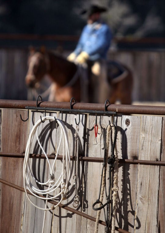 Cowboy's Life