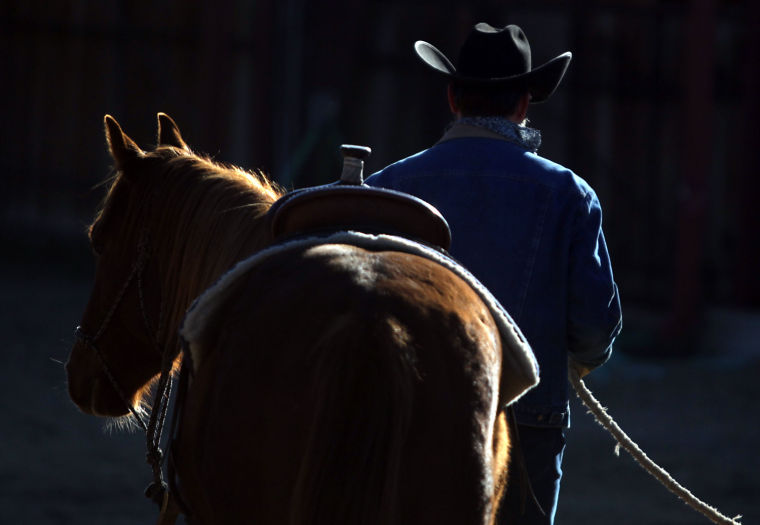 Cowboy's Life