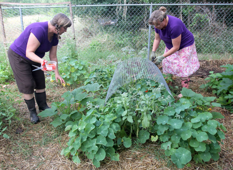 Organic Gardening