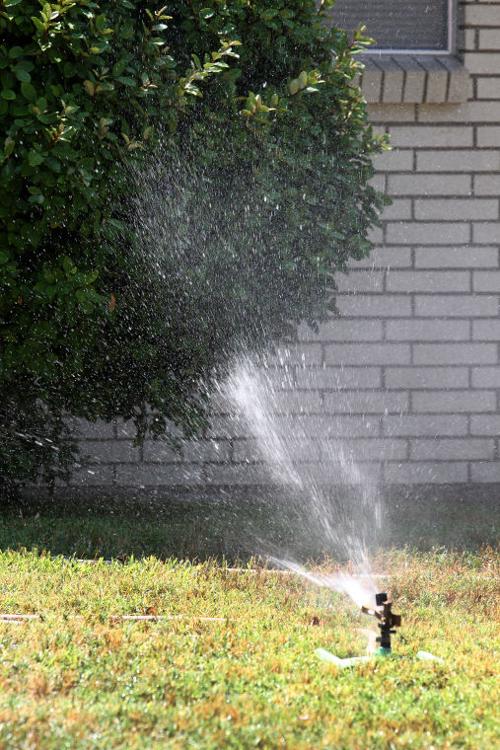 Lawn care