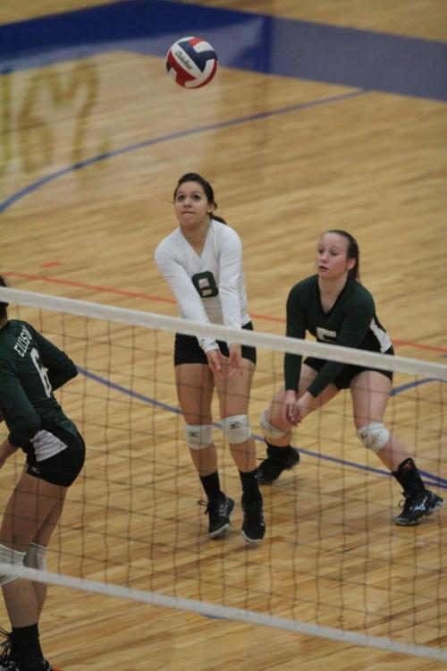 EllisonMansfieldVolleyball53.JPG