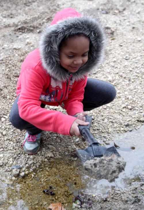 Fossil hunt