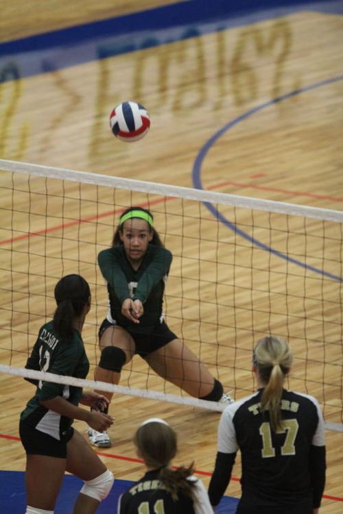 EllisonMansfieldVolleyball40.JPG