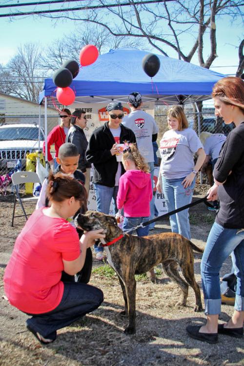 Emancipet grand opening