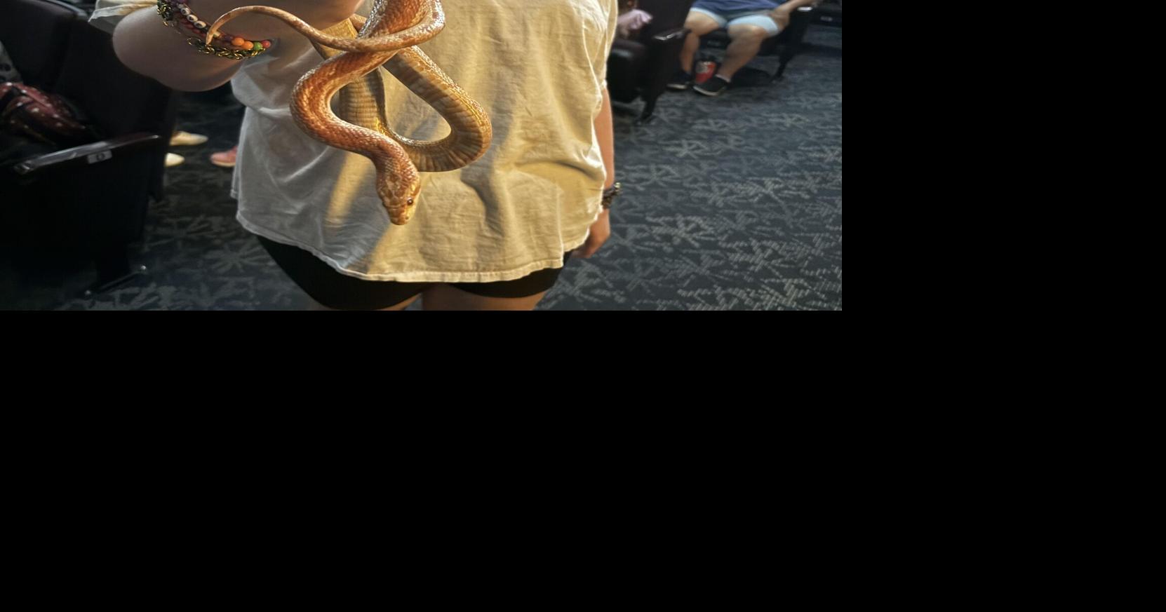 Reptile informative showcasing in Killeen Local News