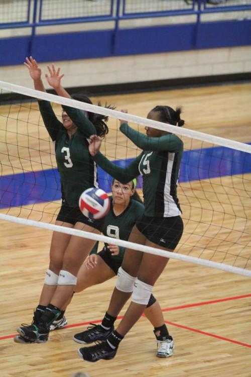 EllisonMansfieldVolleyball45.JPG