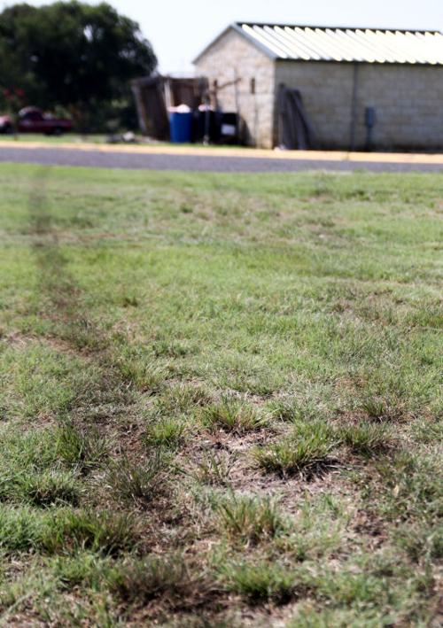 Car Hits Utility Building at Long Branch Park