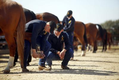 horse detachment representing greater fort hood area during