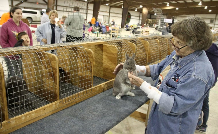 Hobby Farms: Rabbits: Small-Scale Rabbit Keeping by Chris