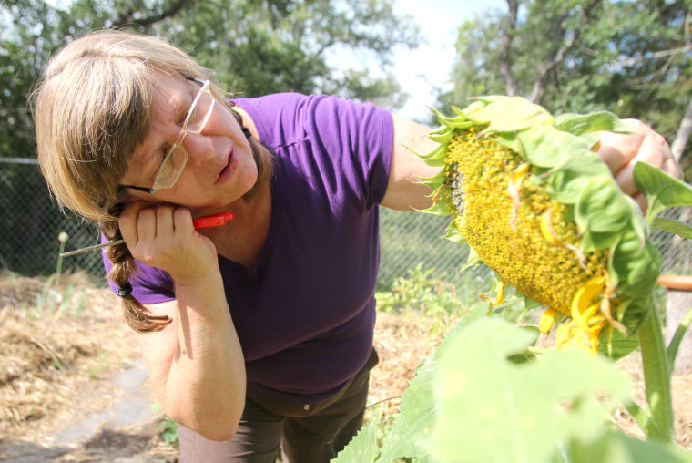 Organic Gardening