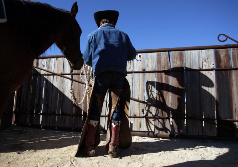 Cowboy's Life