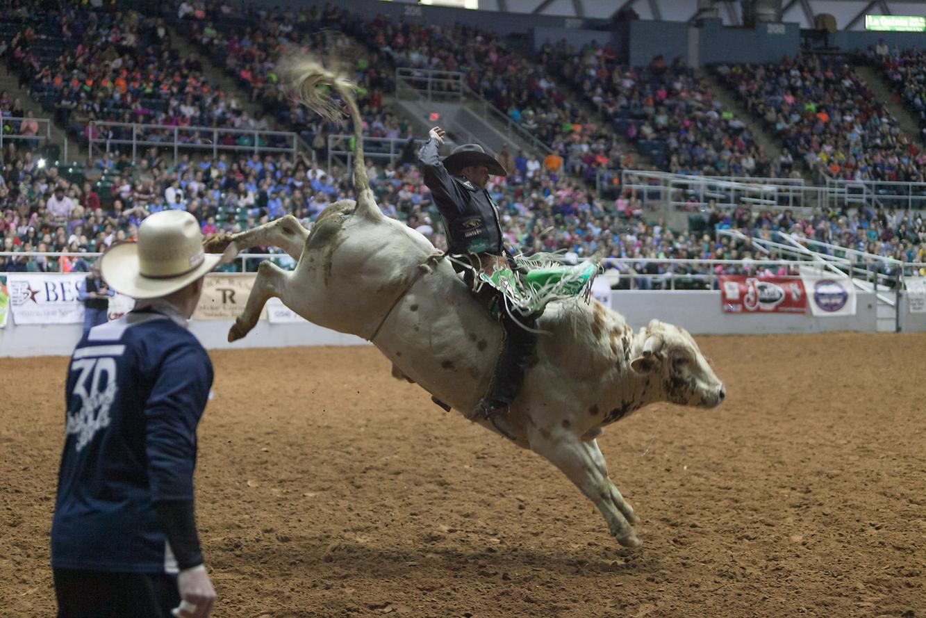 Bullfighters ready for PRCA Rodeo in Belton | Other | kdhnews.com