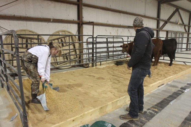 Killeen Junior Livestock Show News