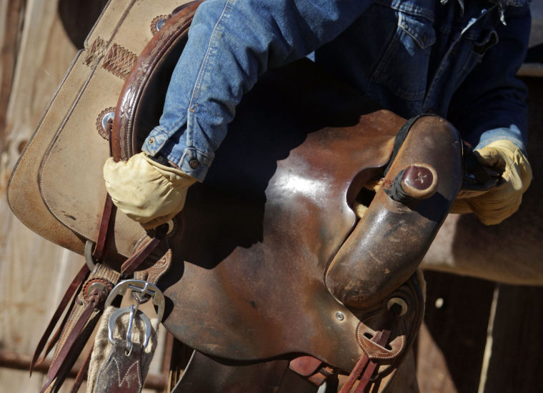 Cowboy's Life
