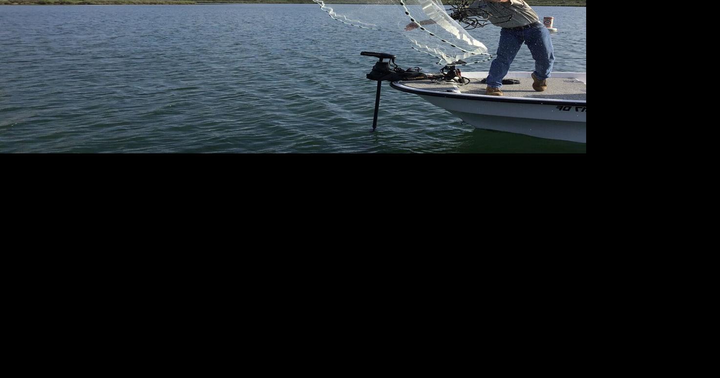 BOB MAINDELLE Threadfin shad spawn begins Home