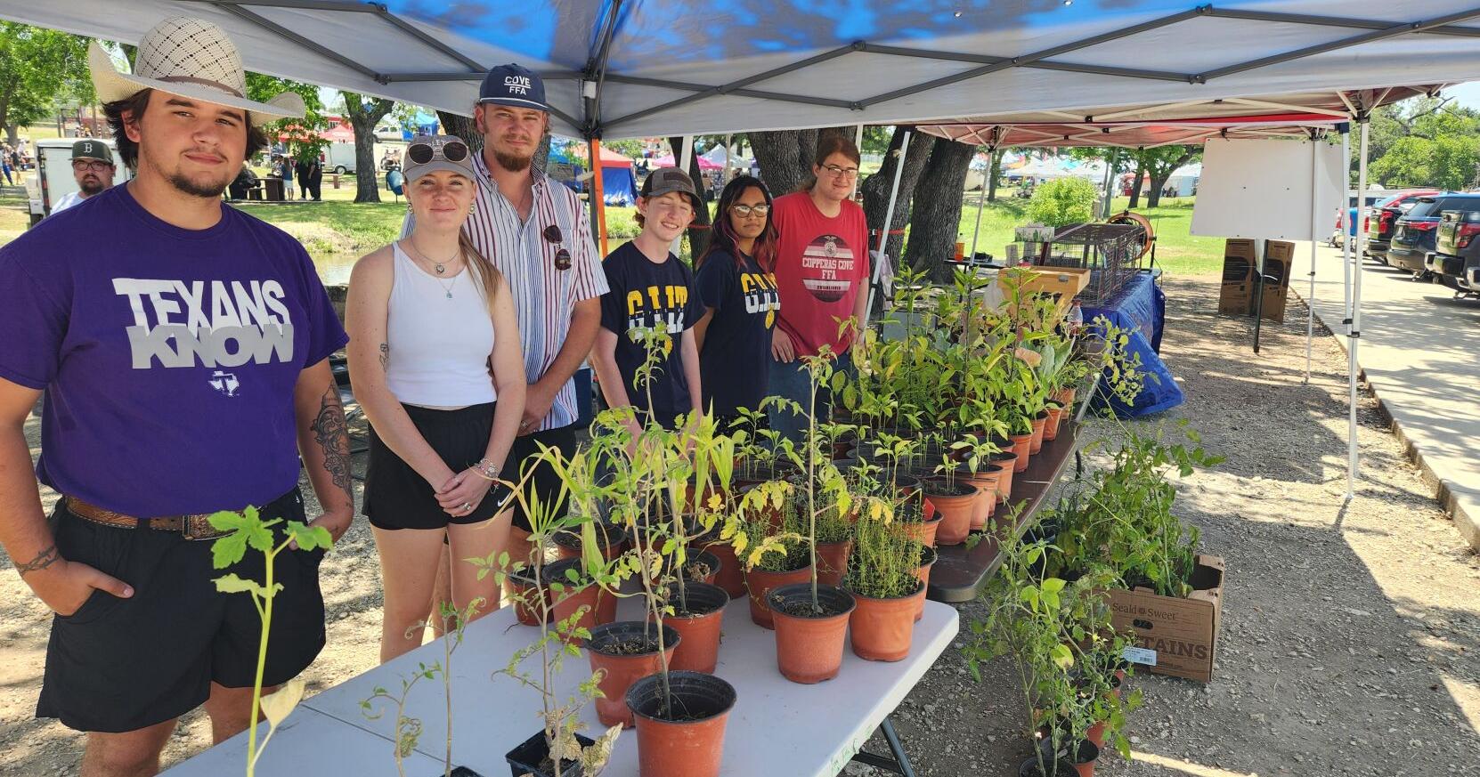 Copperas Cove FFA display rabbits at annual festival - Vimarsana News