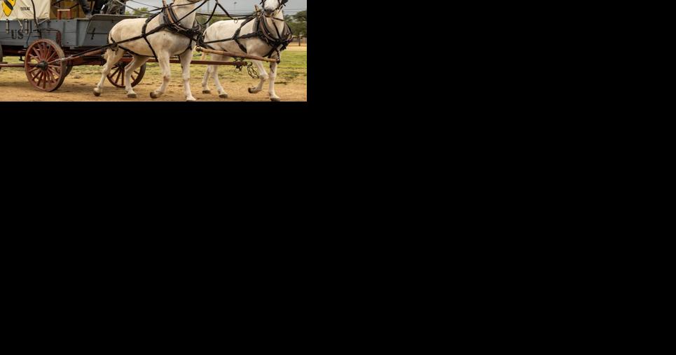 1st Cav turns 102; celebrates with annual 'Cav Week' | Fort Cavazos Herald - Vimarsana News
