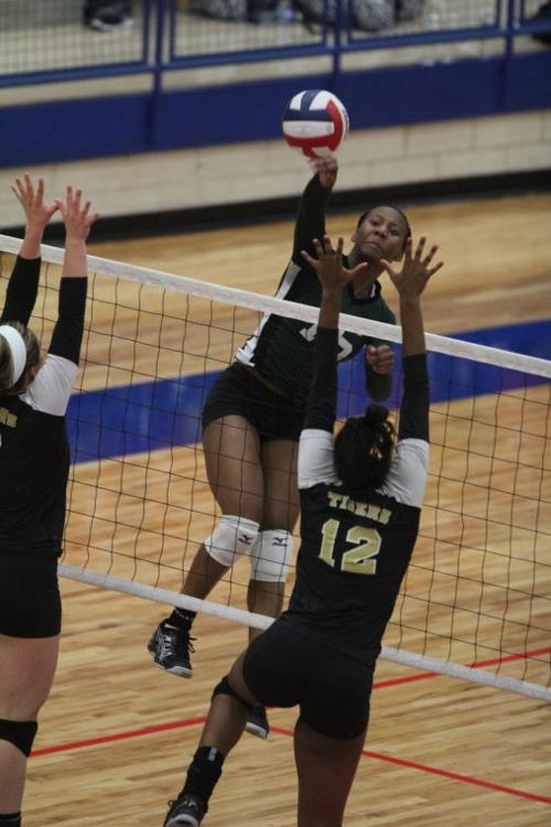 EllisonMansfieldVolleyball49.JPG