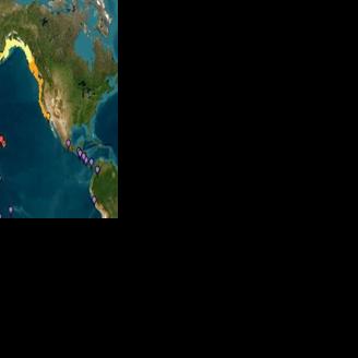 Tsunami warning today texas
