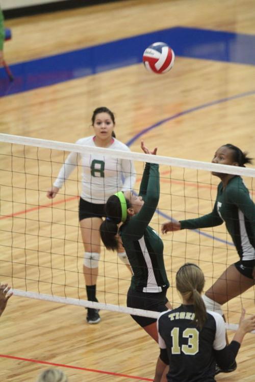 EllisonMansfieldVolleyball66.JPG
