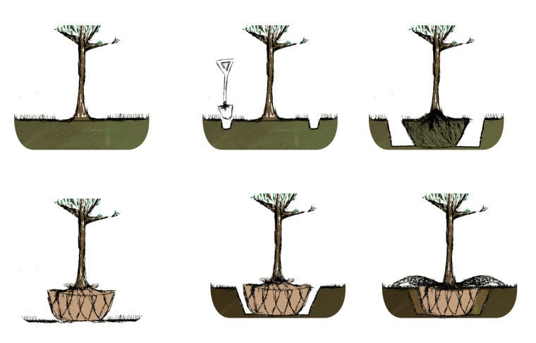 How to Dig up Tree Roots: 12 Steps (with Pictures) - wikiHow