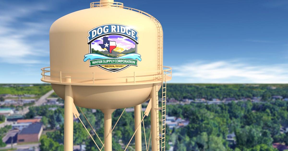 Canine Ridge Dog Ridge WSC replacing meters systemwide in early June | News ...