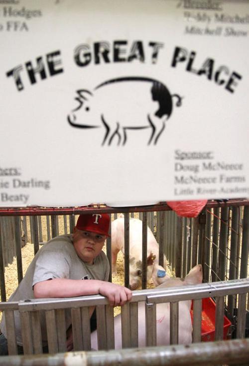 Bell County Youth Fair