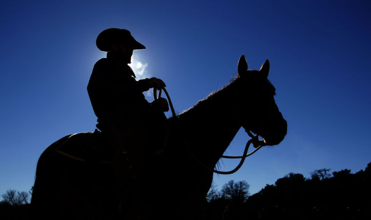 Cowboy's Life