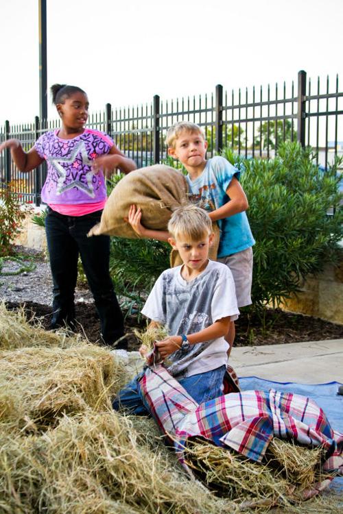 Fall Festival