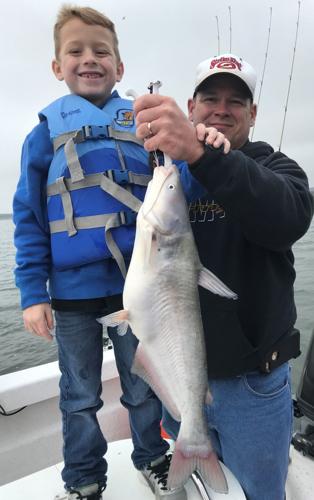 BOB MAINDELLE: SKIFF angler lands record blue catfish at Stillhouse, Outdoor  Sports
