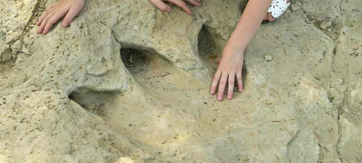 national park with dinosaur fossils
