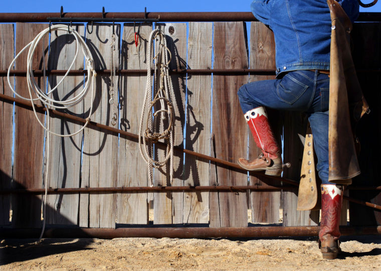Cowboy's Life