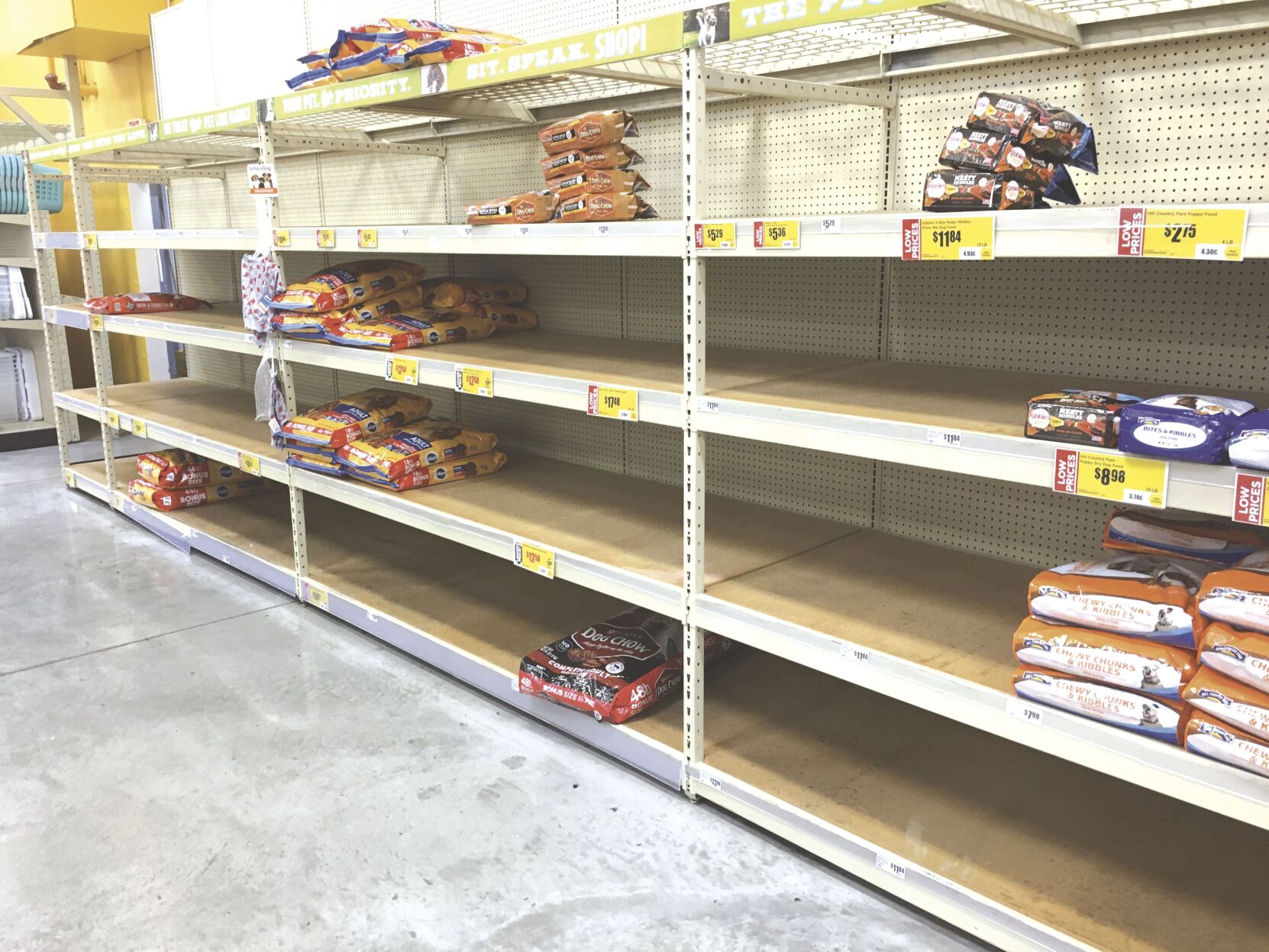 Supply chain issues lead to pet food shortage Local News