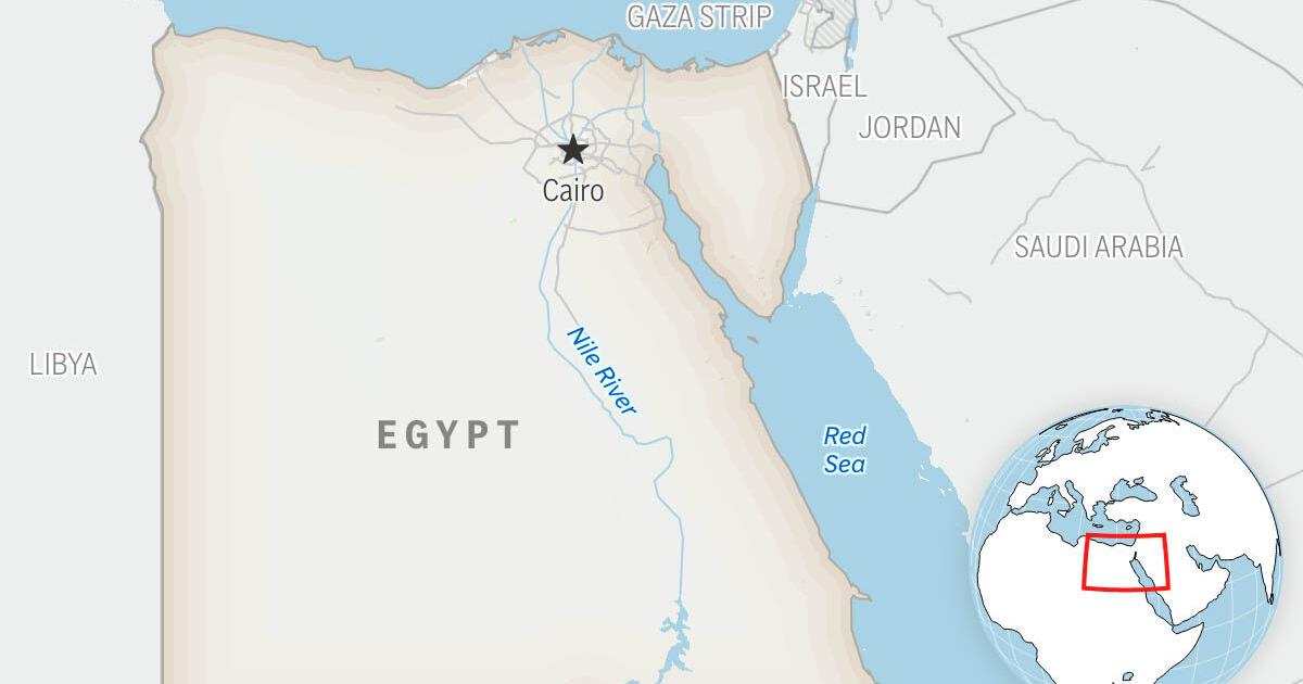 Former Egyptian doctor arrested after alleging abuses at hospital is released on bail, lawyer says | News