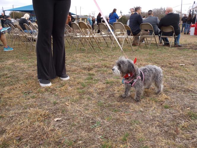 Dog park officially open in Copperas Cove Copperas Cove Herald
