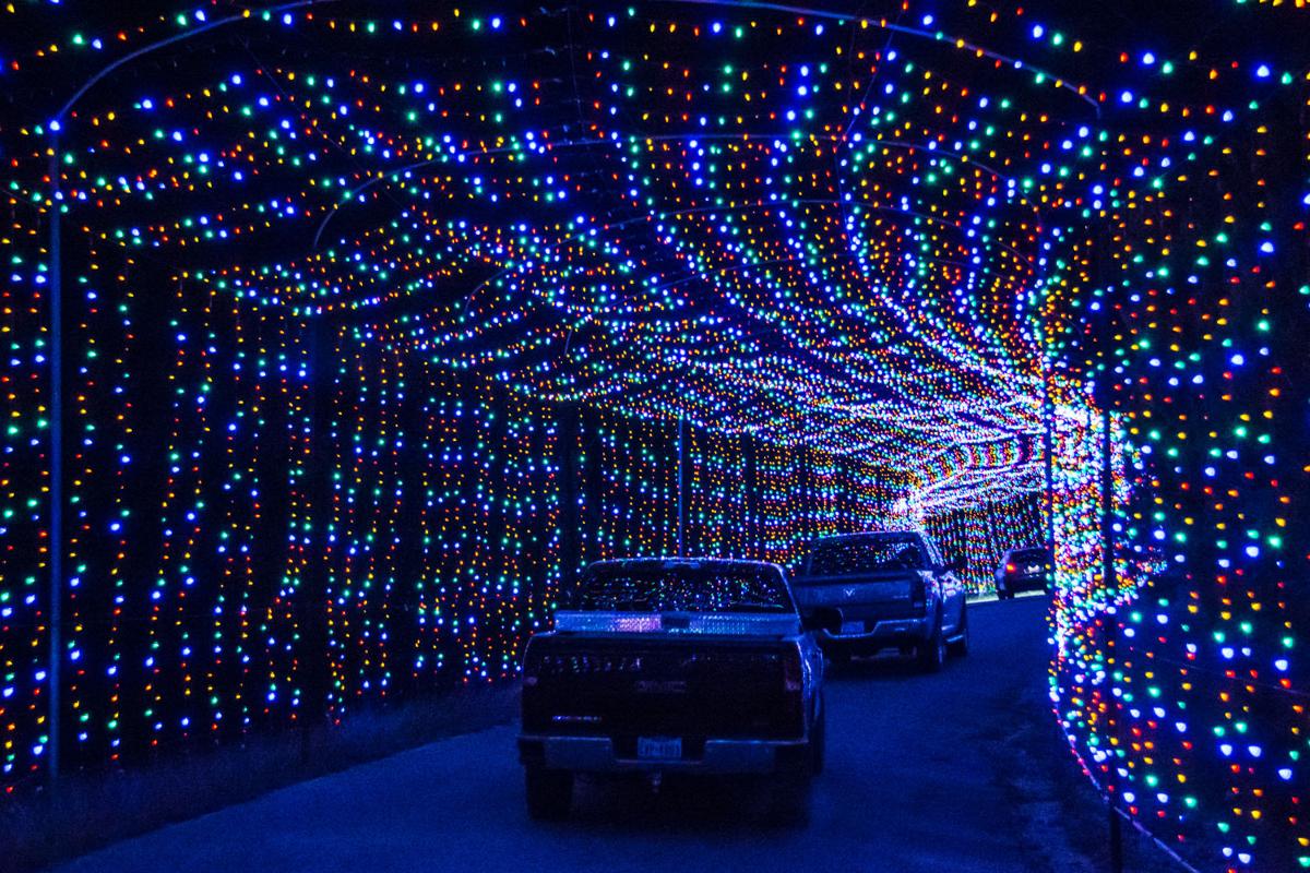 VIPs get first look at BLORA’s annual Nature in lights Living