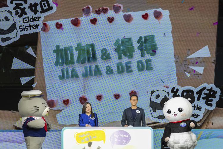 Meet Jia Jia and De De, Hong Kong's first locally born giant pandas