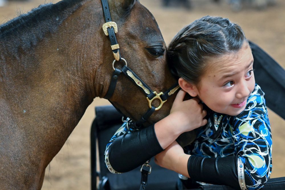 Small horses bring big fun - Vimarsana News