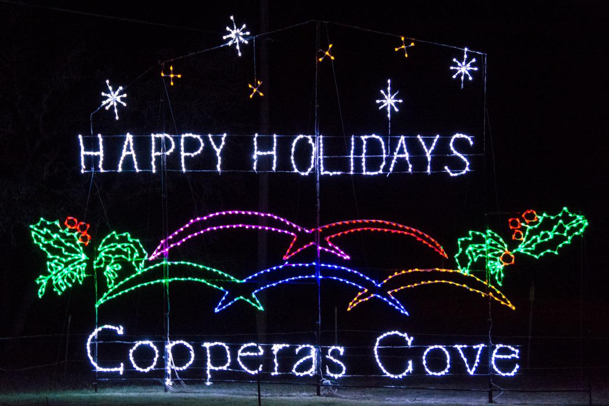 VIPs get first look at BLORA’s annual Nature in lights Living