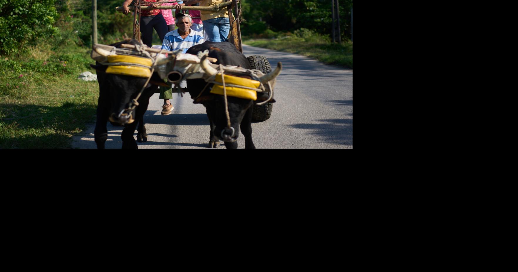 US energy blockade leaves Cuban farmers struggling to feed a nation